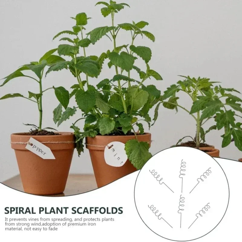 Bonsai Garden Plants - Climbing Plant Support Stake Stand Climbing