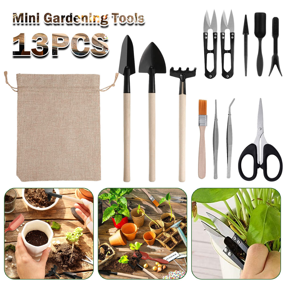 Bonsai Garden Miniature - Succulent Plants Tools Mini Garden Hand