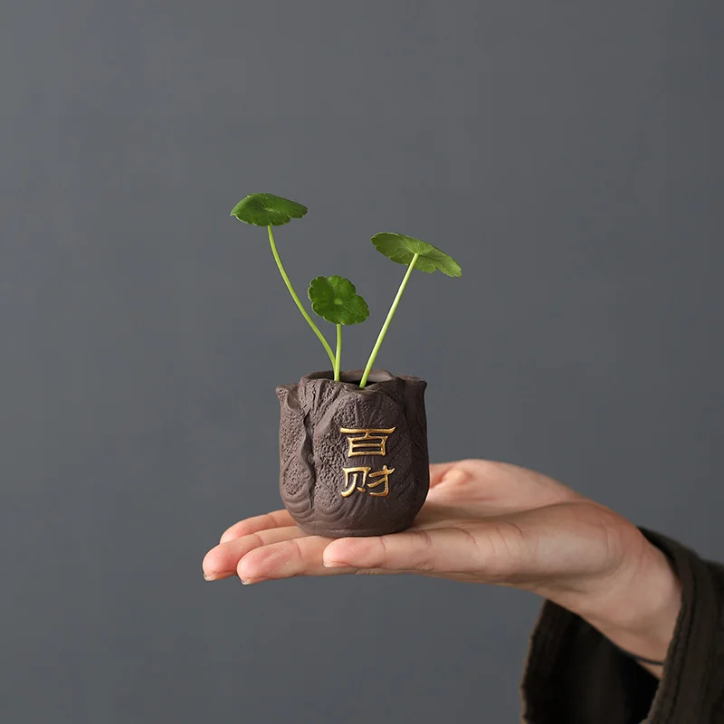 Creative Purple Clay Tea Pet F - Bonsai Garden Pot recension och pris