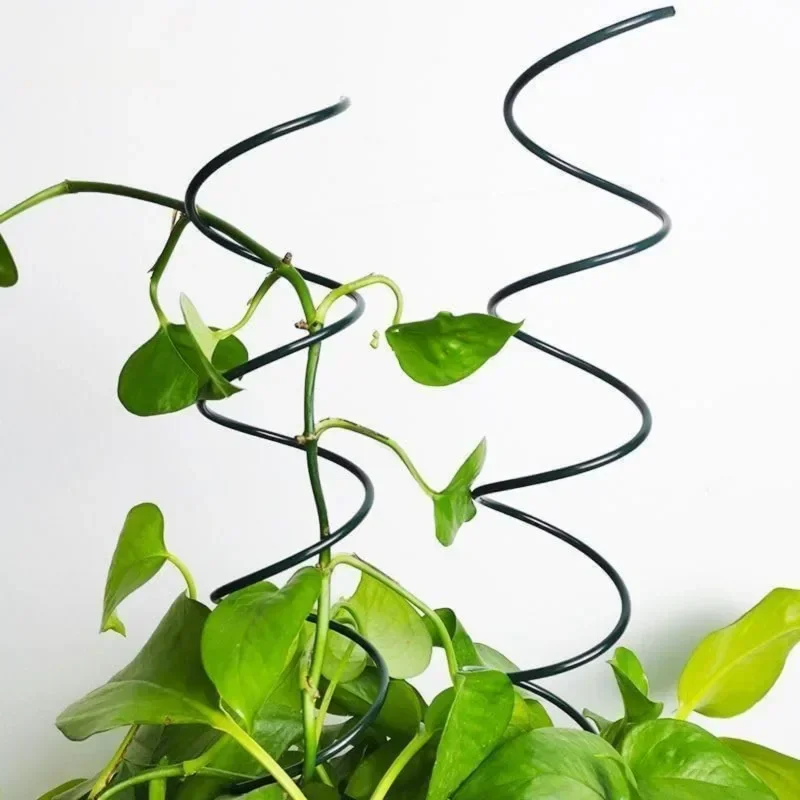 Climbing Plant Support Stake S - Bonsai Garden Plants recension och pris
