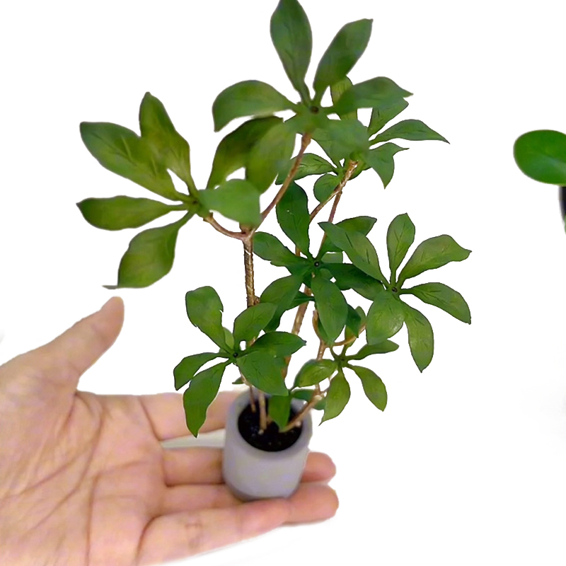 1:6 Dollhouse Miniature Potted - Bonsai Garden Pot recension och pris