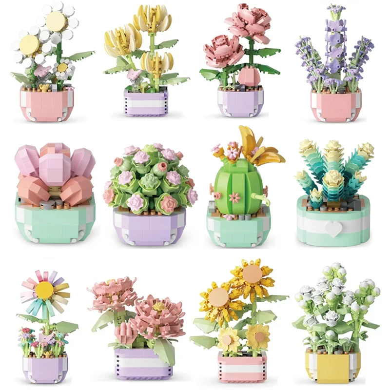 Flower Succulents Building Blo - Bonsai Garden Pot recension och pris