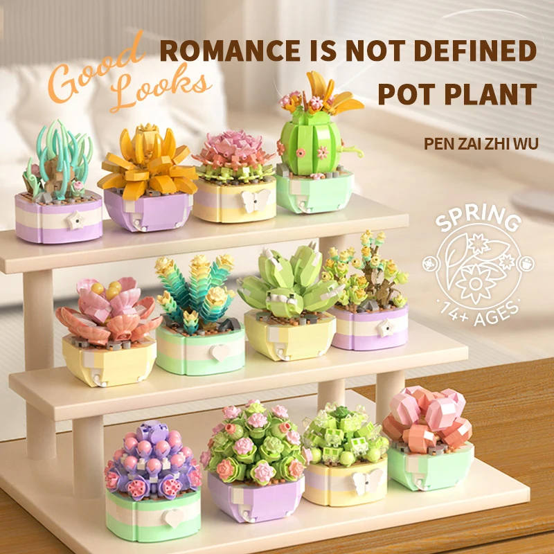 Flower Succulents Building Blo - Bonsai Garden Pot recension och pris