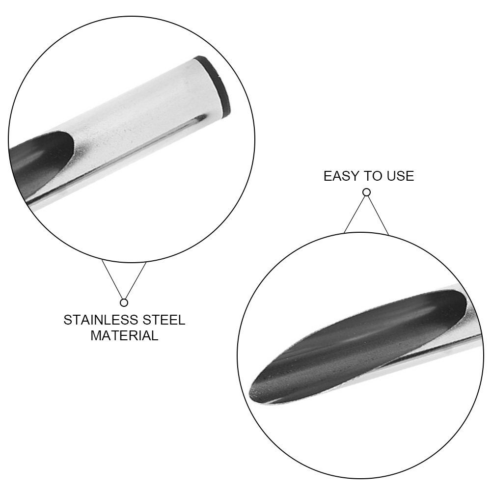 Portable Stainless Steel Plant - Soil Scoop Tool recension och pris