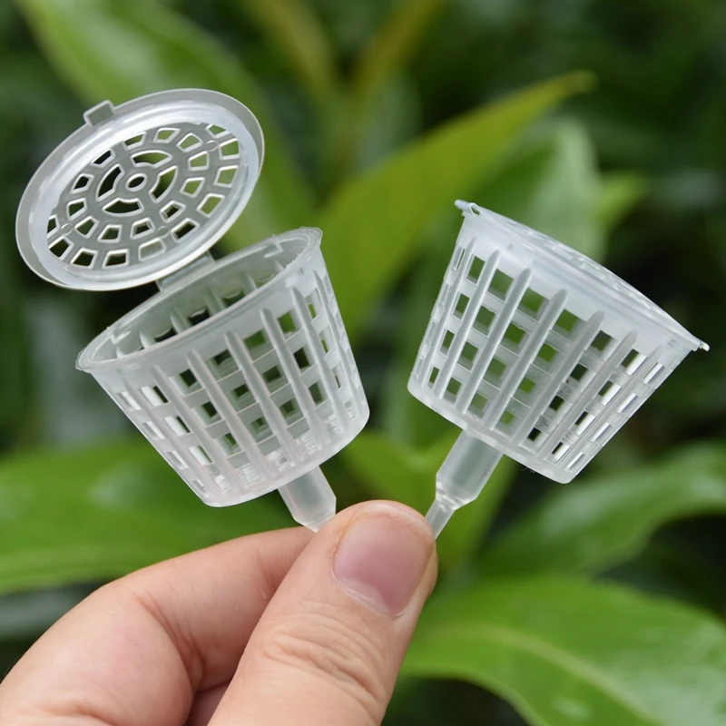 20/50Pcs Fertilizer Basket Wit - Bonsai Garden Of Ct recension och pris