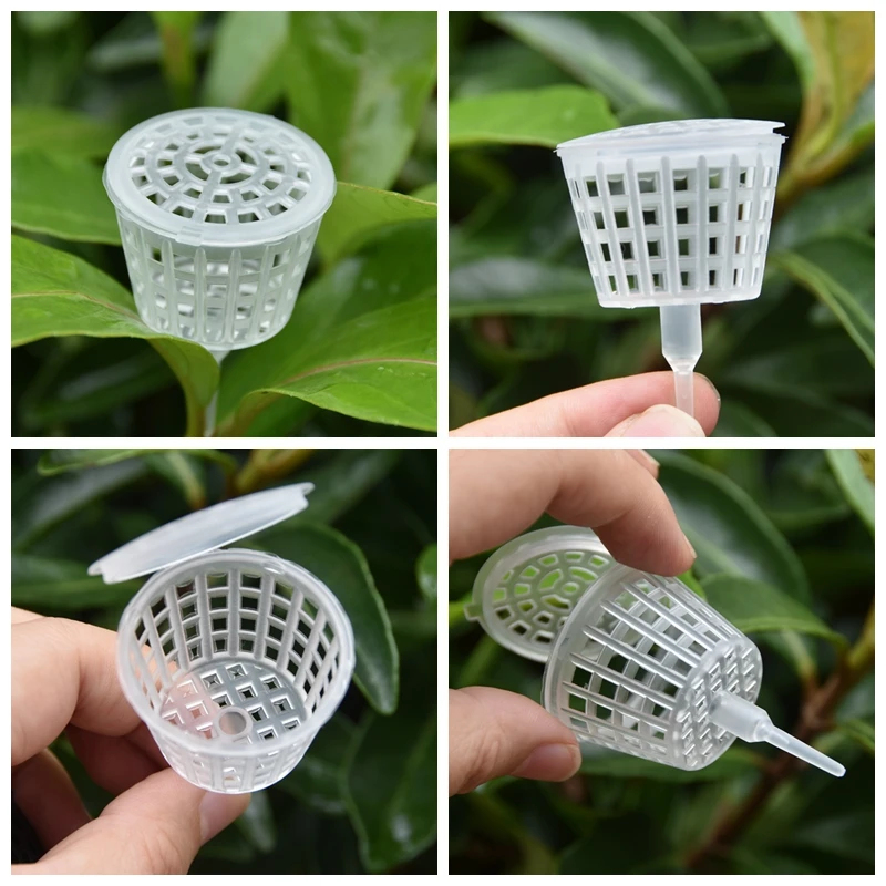 20/50Pcs Fertilizer Basket Wit - Bonsai Garden Of Ct recension och pris