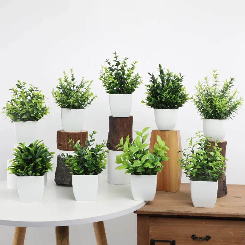 Wholesale OEM/ODM Artificial M - Bonsai Garden Pot recension och pris