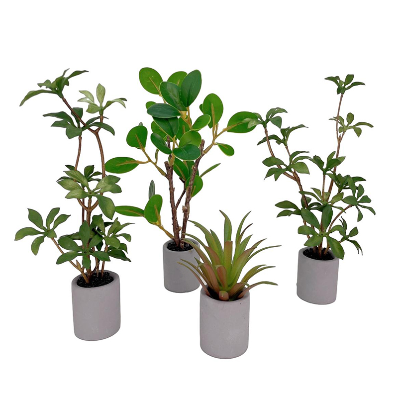 1:6 Dollhouse Miniature Potted - Bonsai Garden Pot recension och pris