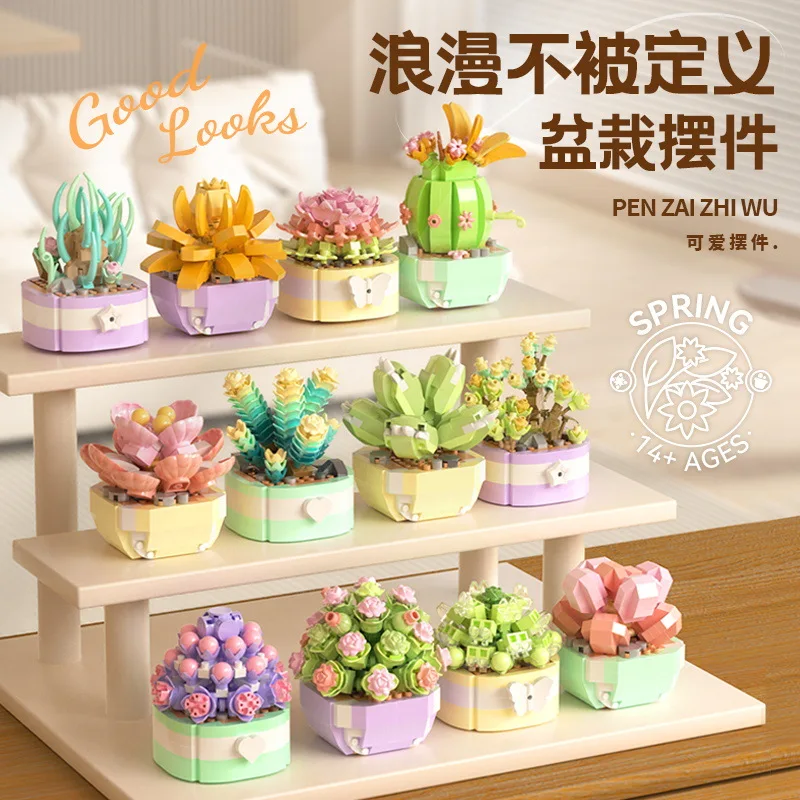 Flower Succulents Building Blo - Bonsai Garden Pot recension och pris