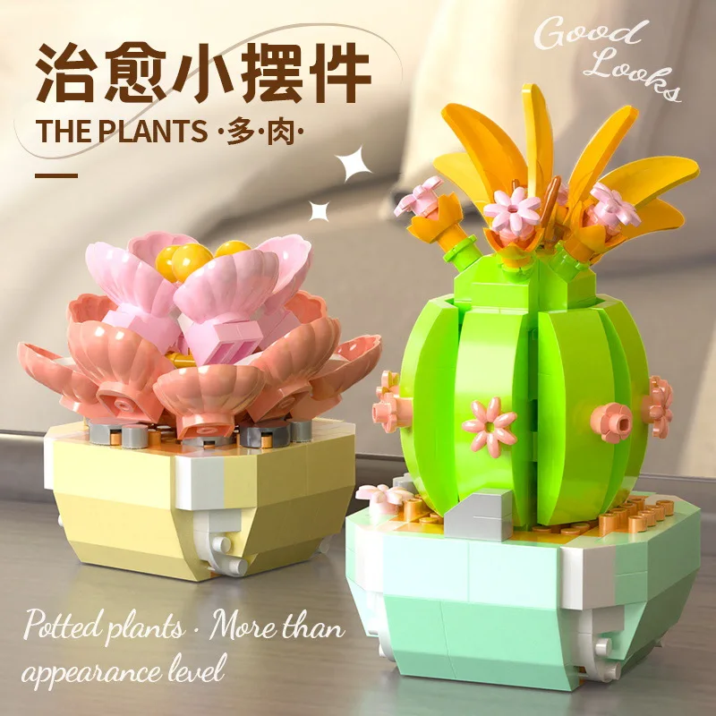Flower Succulents Building Blo - Bonsai Garden Pot recension och pris