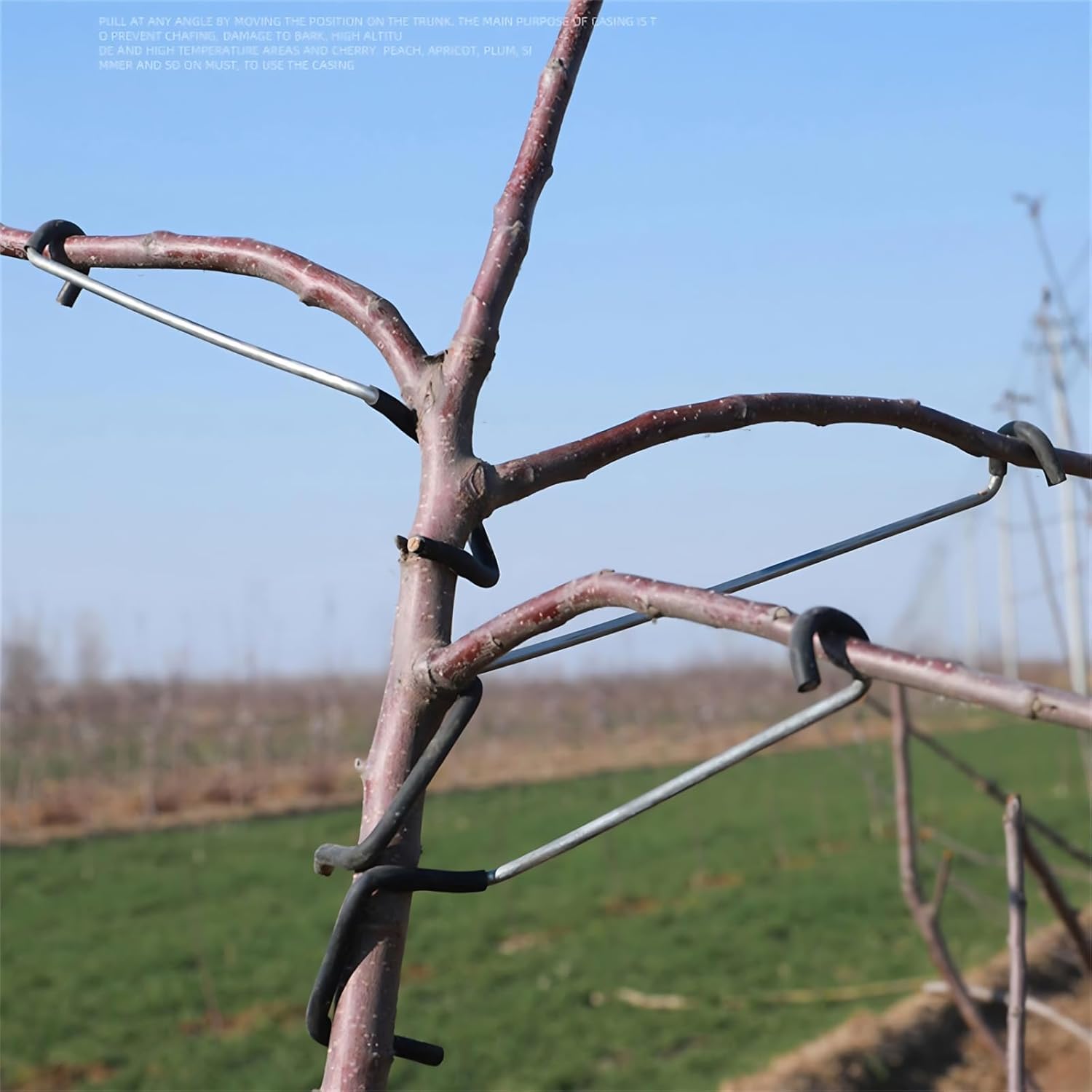 Adjustable Fruit Tree Branch S - Bonsai Garden Plants recension och pris