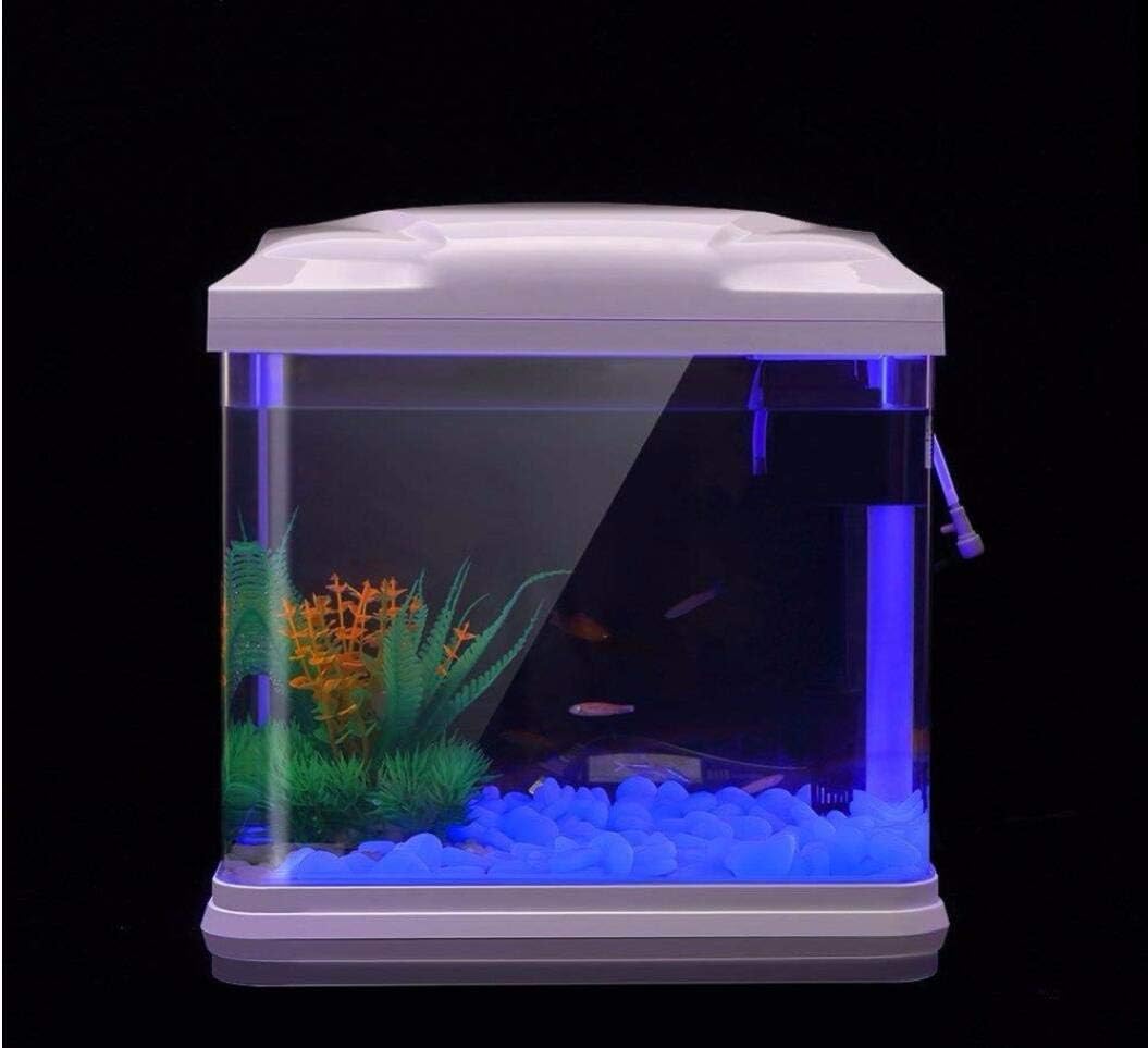 Fish Tank Rocks Glow Blue Pebb - Bonsai Garden Pot recension och pris