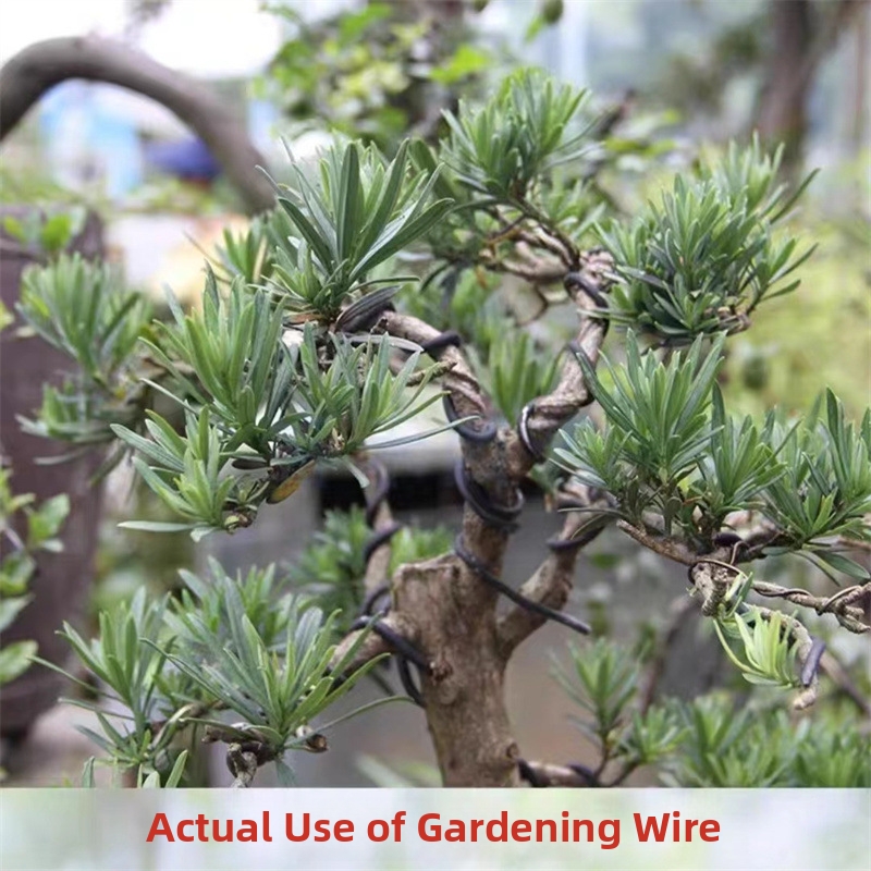 1.5MM Bonsai Wires Aluminum Bo - Bonsai Garden Plants recension och pris