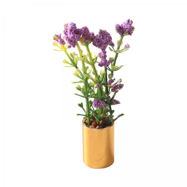 Miniature Potted Plant Ornamen - Bonsai Garden Display recension och pris