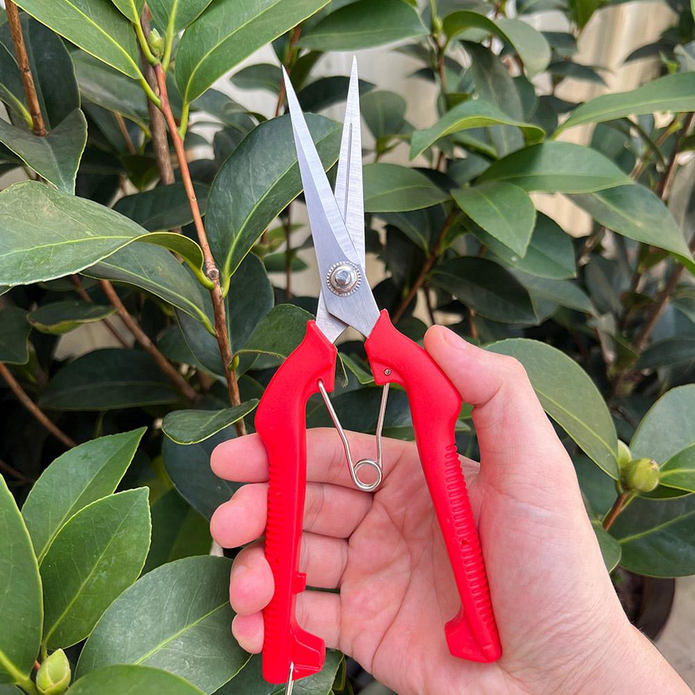 Pro Garden Pruning Shears Leng - Bonsai Garden Plants recension och pris