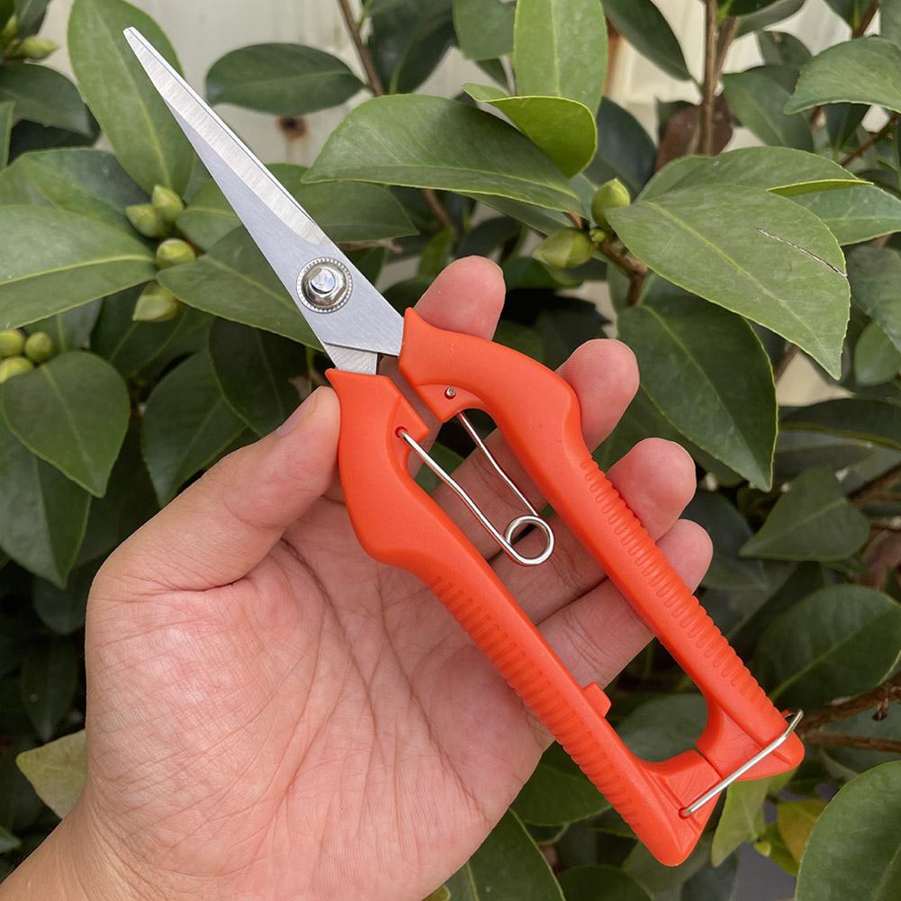 Pro Garden Pruning Shears Leng - Bonsai Garden Plants recension och pris