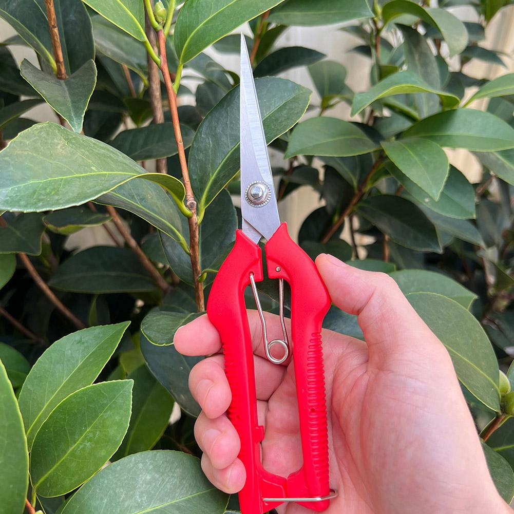 Pro Garden Pruning Shears Leng - Bonsai Garden Plants recension och pris