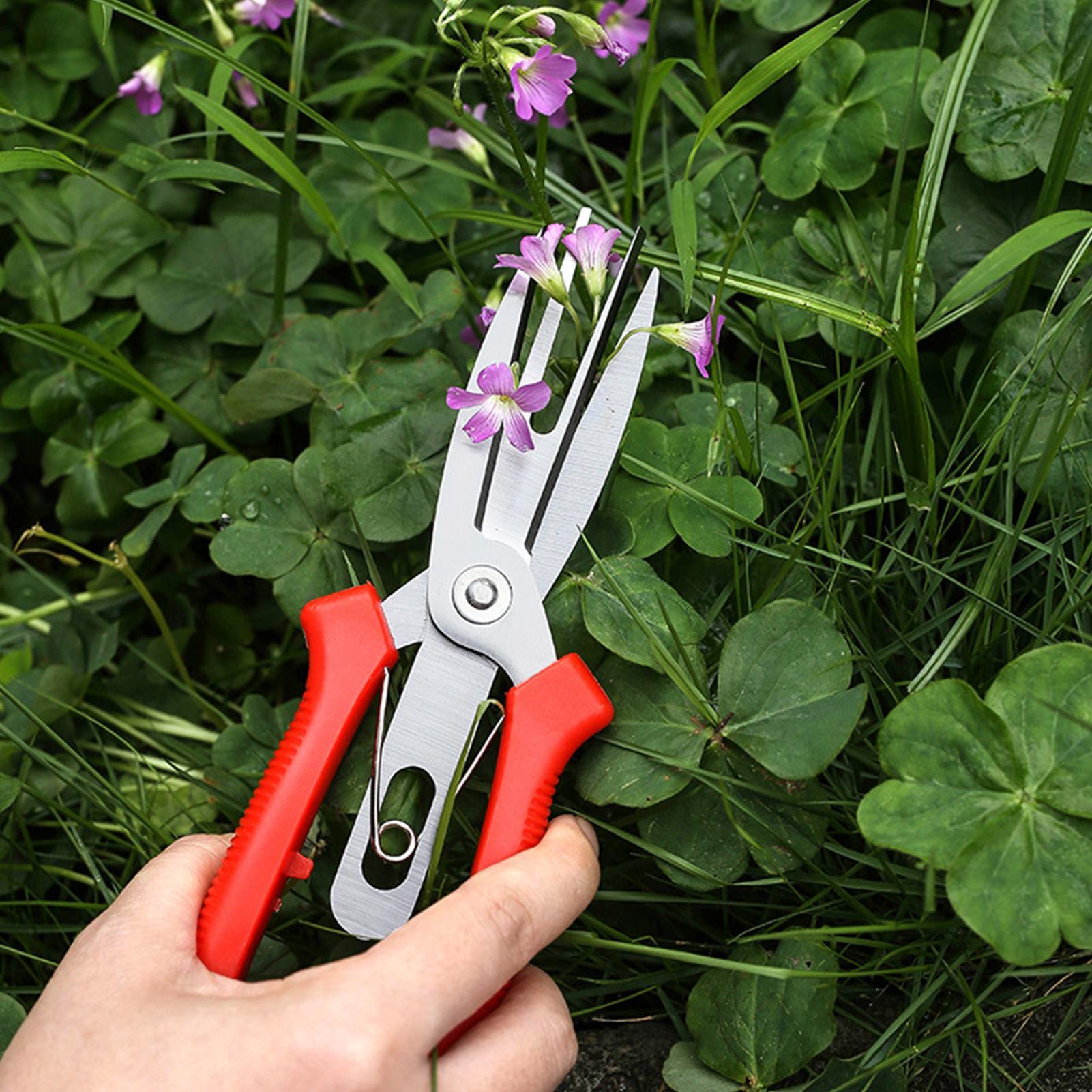 Garden Shears Stainless Steel  - Bonsai Garden Plants recension och pris
