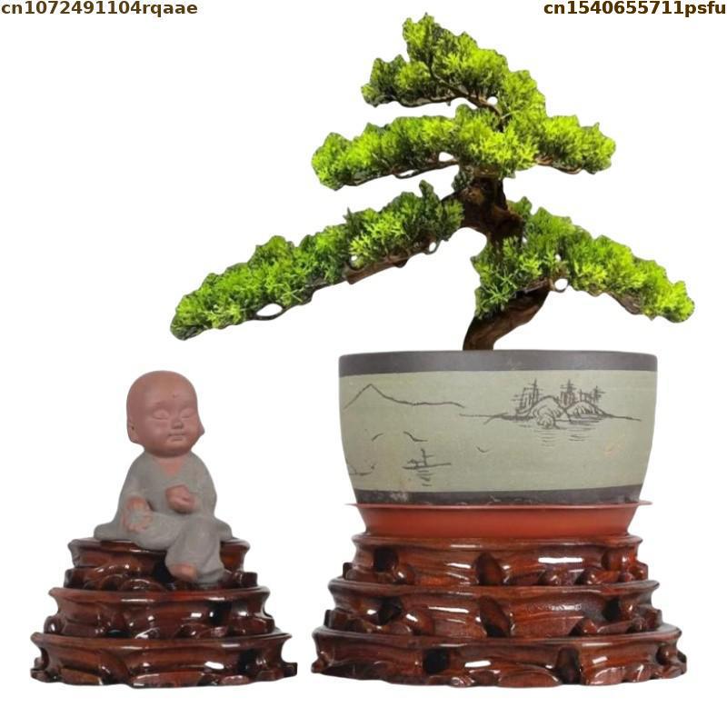 6-30cm Diameter Standing Flowe - Bonsai Garden Display recension och pris
