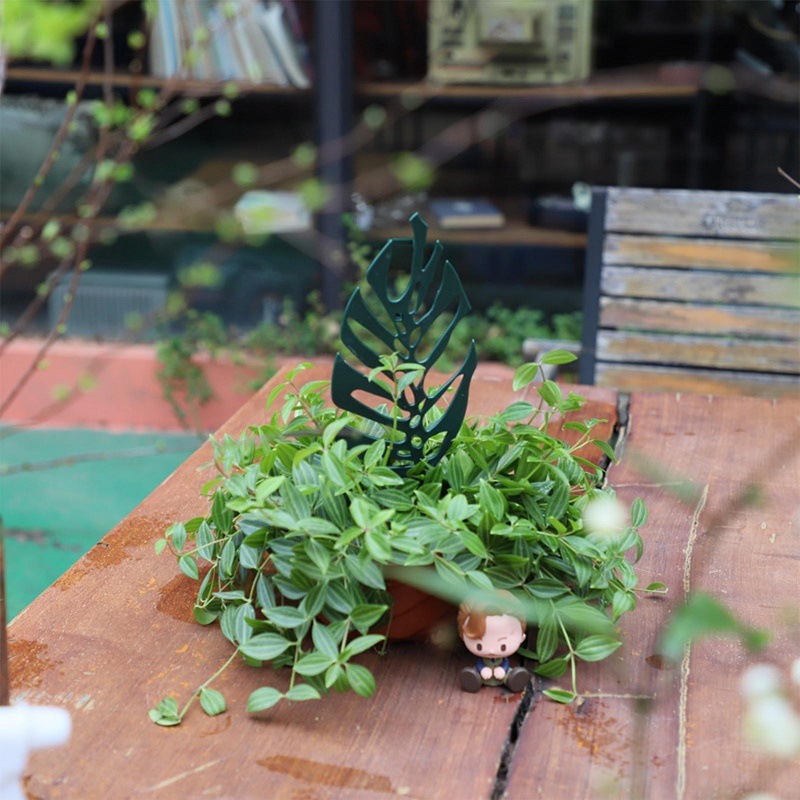 Plant Climbing Support Stand F - Bonsai Garden Pot recension och pris