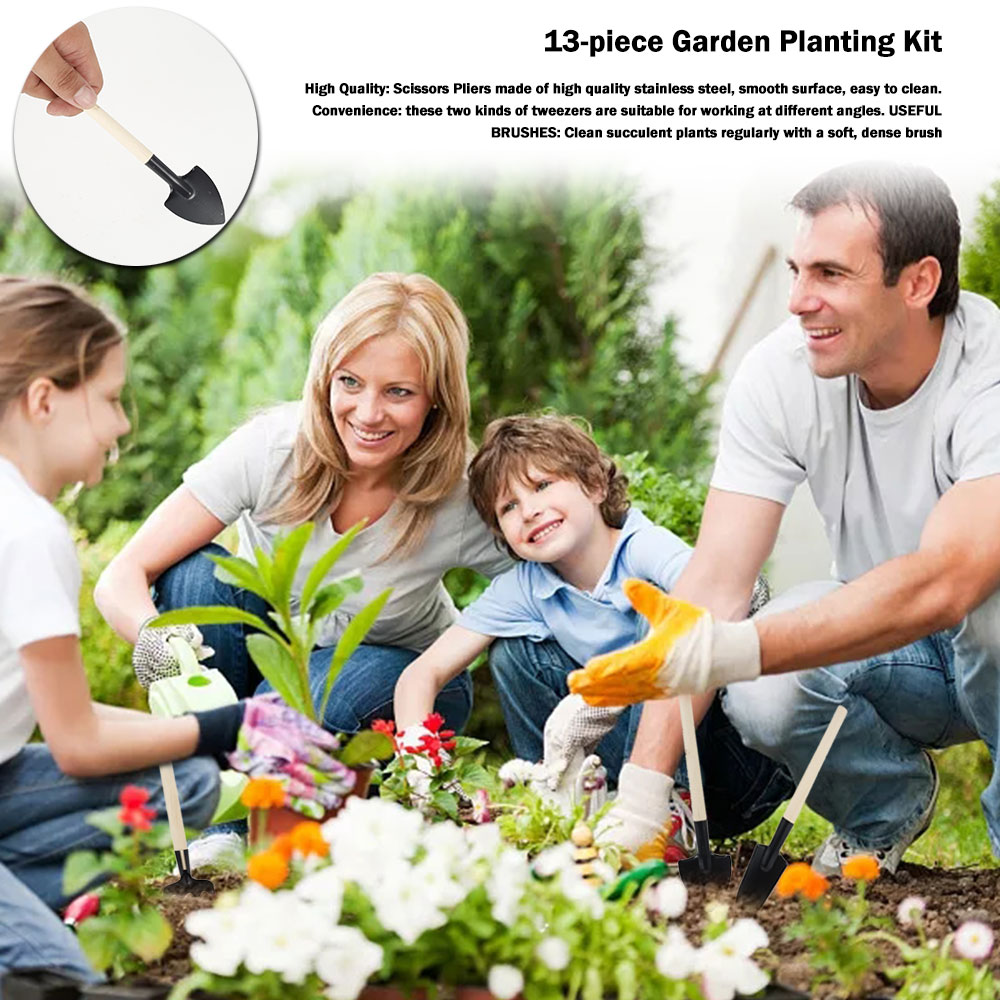Succulent Plants Tools Mini Ga - Bonsai Garden Miniature recension och pris