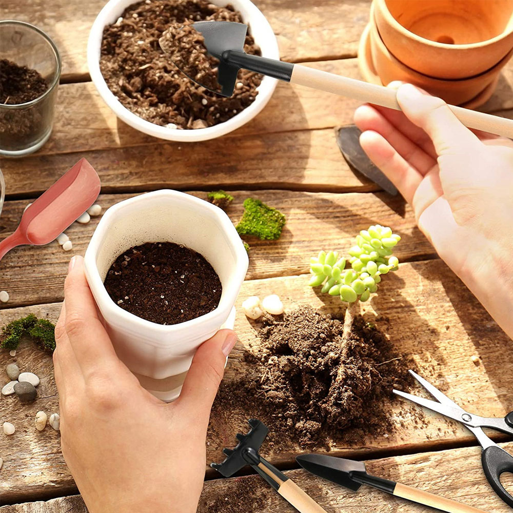 Succulent Plants Tools Mini Ga - Bonsai Garden Miniature recension och pris